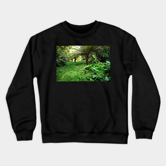 Ferny Glade, Warburton Crewneck Sweatshirt by rozmcq